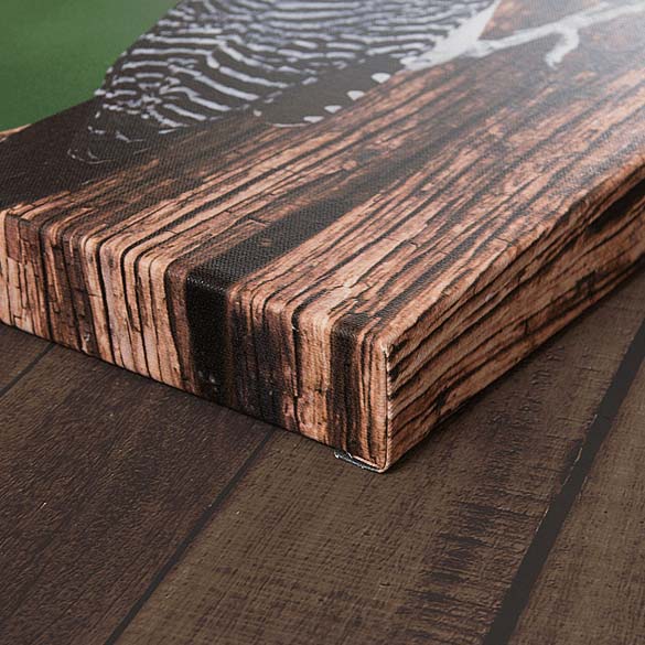 Gallery Wrapped Canvas Photo & Fine Art Digital Pro Lab