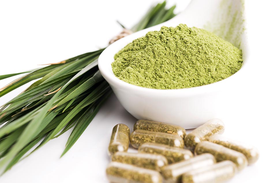 Best Vegan Multivitamins Plant Based Supplements That Actually Work Digital Sages