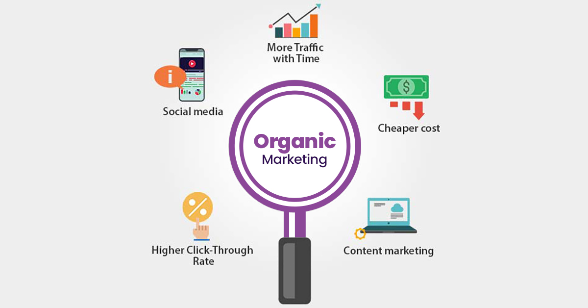 Organic Marketing VS Paid Marketing DigitalsetGo