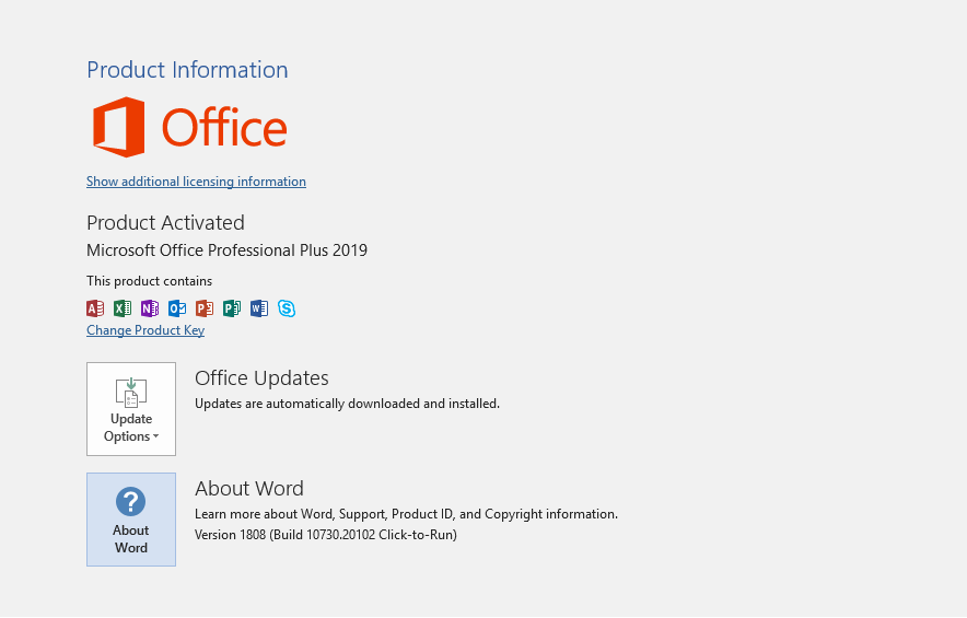 Ms office professional plus 2019 product key mazlabs