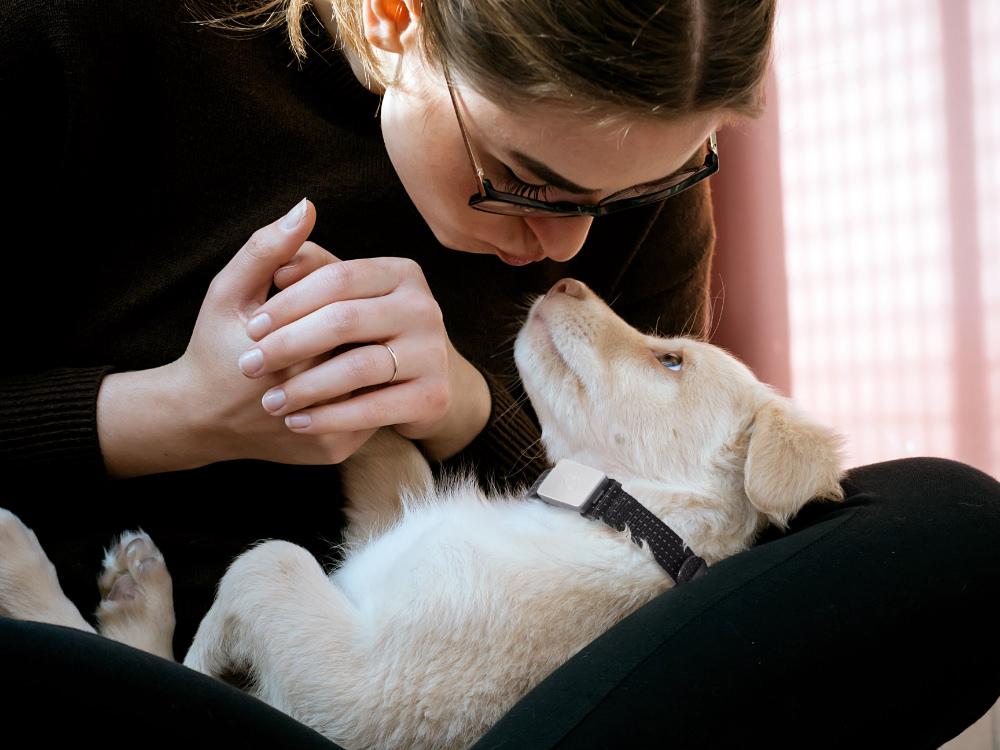 Whistle Switch Tracks Your Pets With an LTE Connection Digital Trends