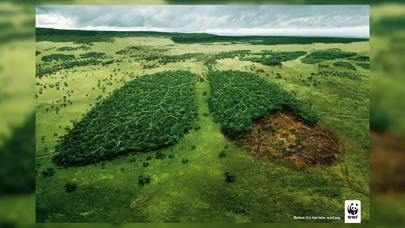 Before it's too late WWF campaign that made deforestation personal