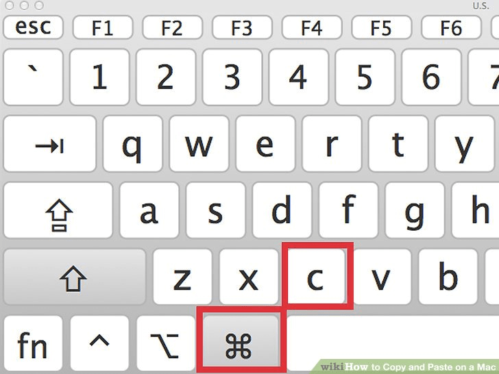 How to copy and paste text Digital Unite