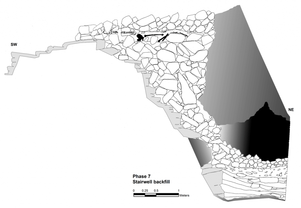 Decoding Archaeology DNA Analysis Dig It!