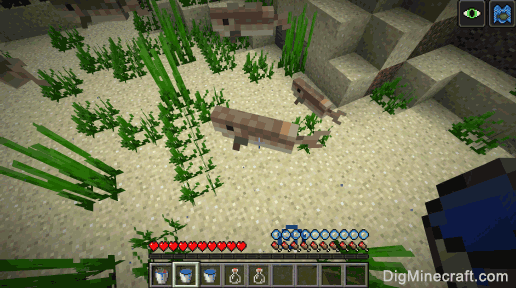 How to make a Bucket of Cod in Minecraft