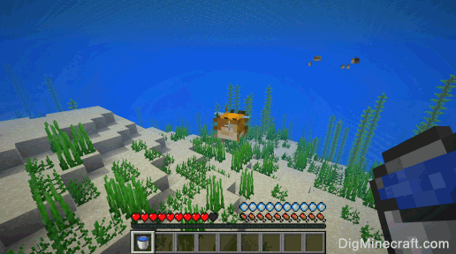How To Make A Bucket Of Pufferfish In Minecraft