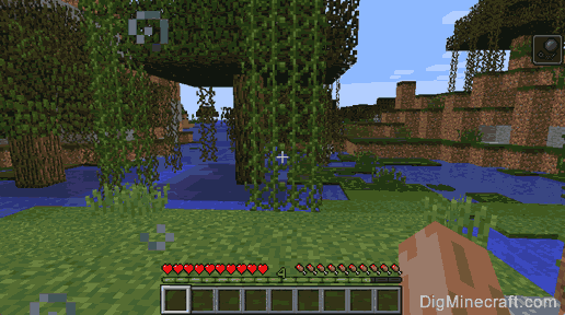 Slowness in Minecraft