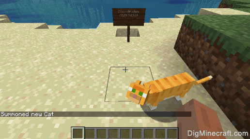 How to Use the Execute Command in Minecraft