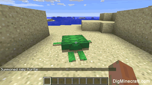 How to Summon a Turtle in Minecraft