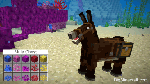 Summon Mule with Chest Generator (Java Edition 1.13)