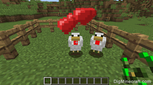 How to Breed Chickens in Minecraft