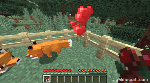 How To Breed Fish In Minecraft HWIA