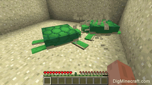 How to Breed Turtles in Minecraft