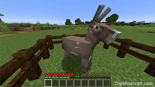 How to Feed a Donkey in Minecraft