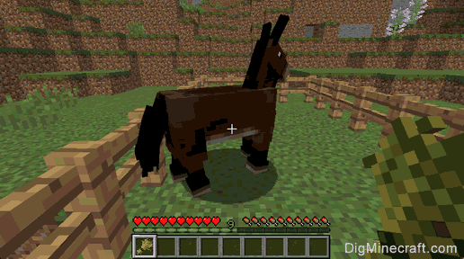 How to Feed a Mule in Minecraft