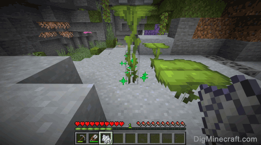 How to grow a Big Dripleaf Taller in Minecraft