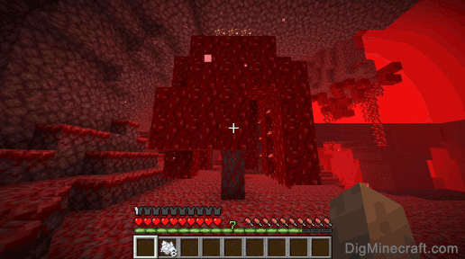 How to grow a Crimson Forest Tree in Minecraft