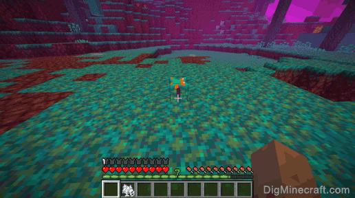 How to grow a Warped Forest Tree in Minecraft