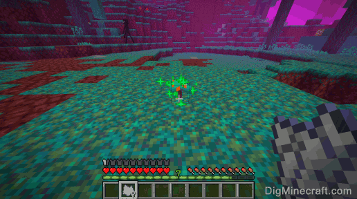 How to grow a Warped Forest Tree in Minecraft