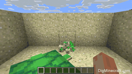 How to Hatch Turtle Eggs in Minecraft