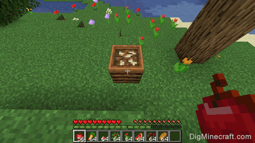 How to Use a Composter in Minecraft