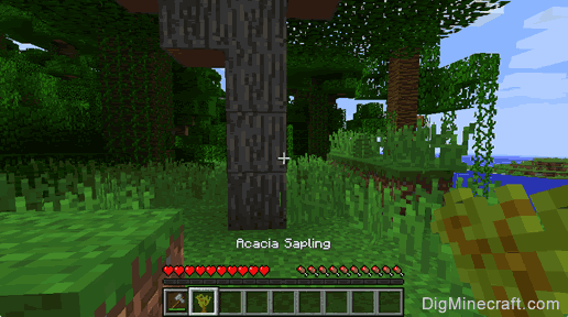 How to make an Acacia Sapling in Minecraft