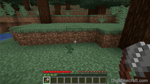 How to make a Fern in Minecraft
