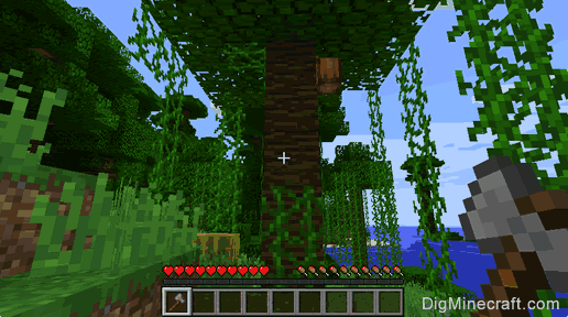 How to make a Jungle Sapling in Minecraft