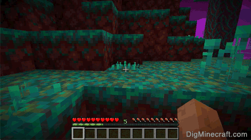 How to make Nether Sprouts in Minecraft