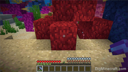 How to make a Fire Coral Block in Minecraft
