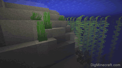 How To Get Kelp in Minecraft Easy Guide Teckiway