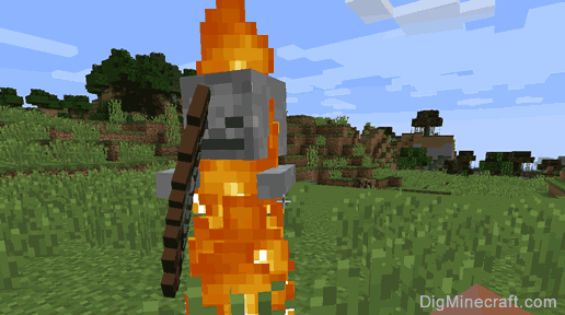 Skeleton in Minecraft