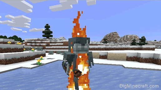 Stray in Minecraft