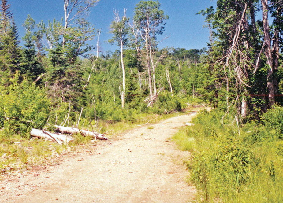 Large Acreage Lot Cape Breton Island For Sale Nova Scotia 27.85 acres