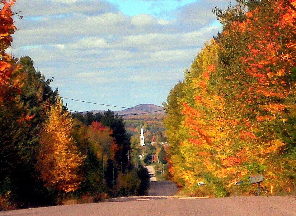 Autumn in Bonfield 2010 Blue Sea Rd. Dignam Land