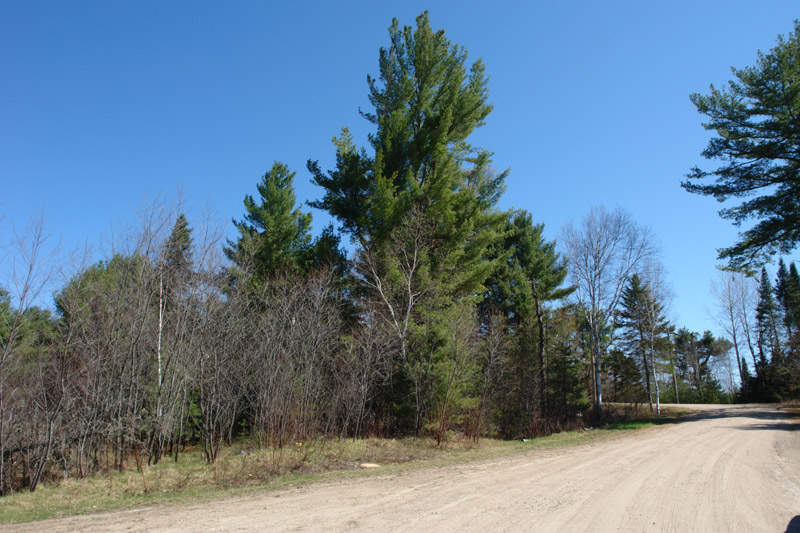 Land For Sale in County of Renfrew Southern Ontario 5.37 acres