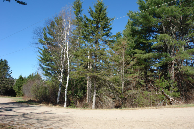 Land For Sale in County of Renfrew Southern Ontario 5.37 acres