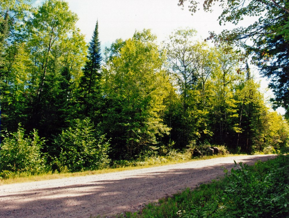 Vacant Land for Sale County of Hastings in Ontario 25 acres