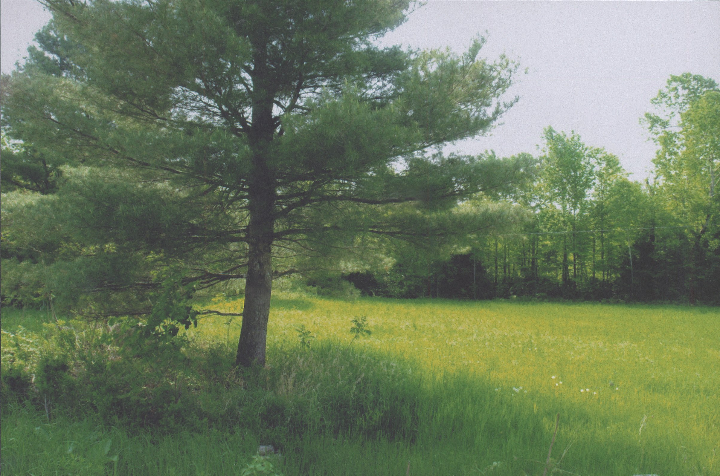 Lot for Sale in County of Frontenac Ontario