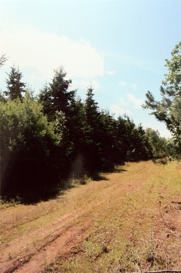 Queens County Land For Sale Prince Edward Island 2.09 acres