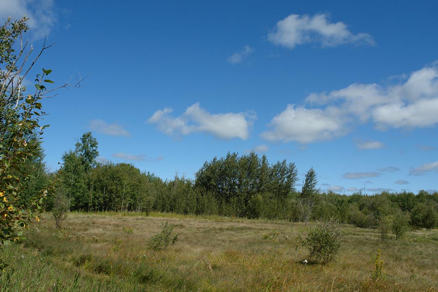 Land for Sale District of Cochrane, Ontario, 42.30 acres