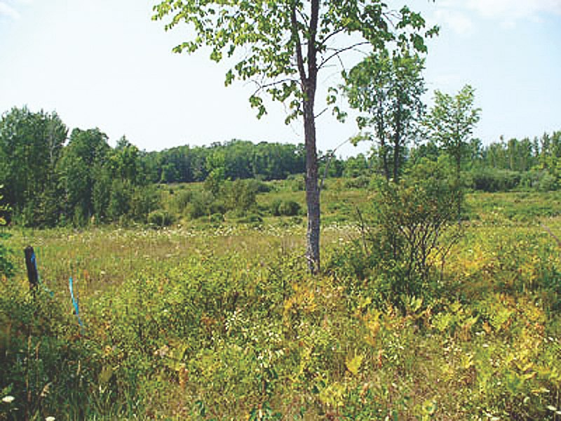 Manitoulin Island Property For Sale Southern Ontario 1.22 acres