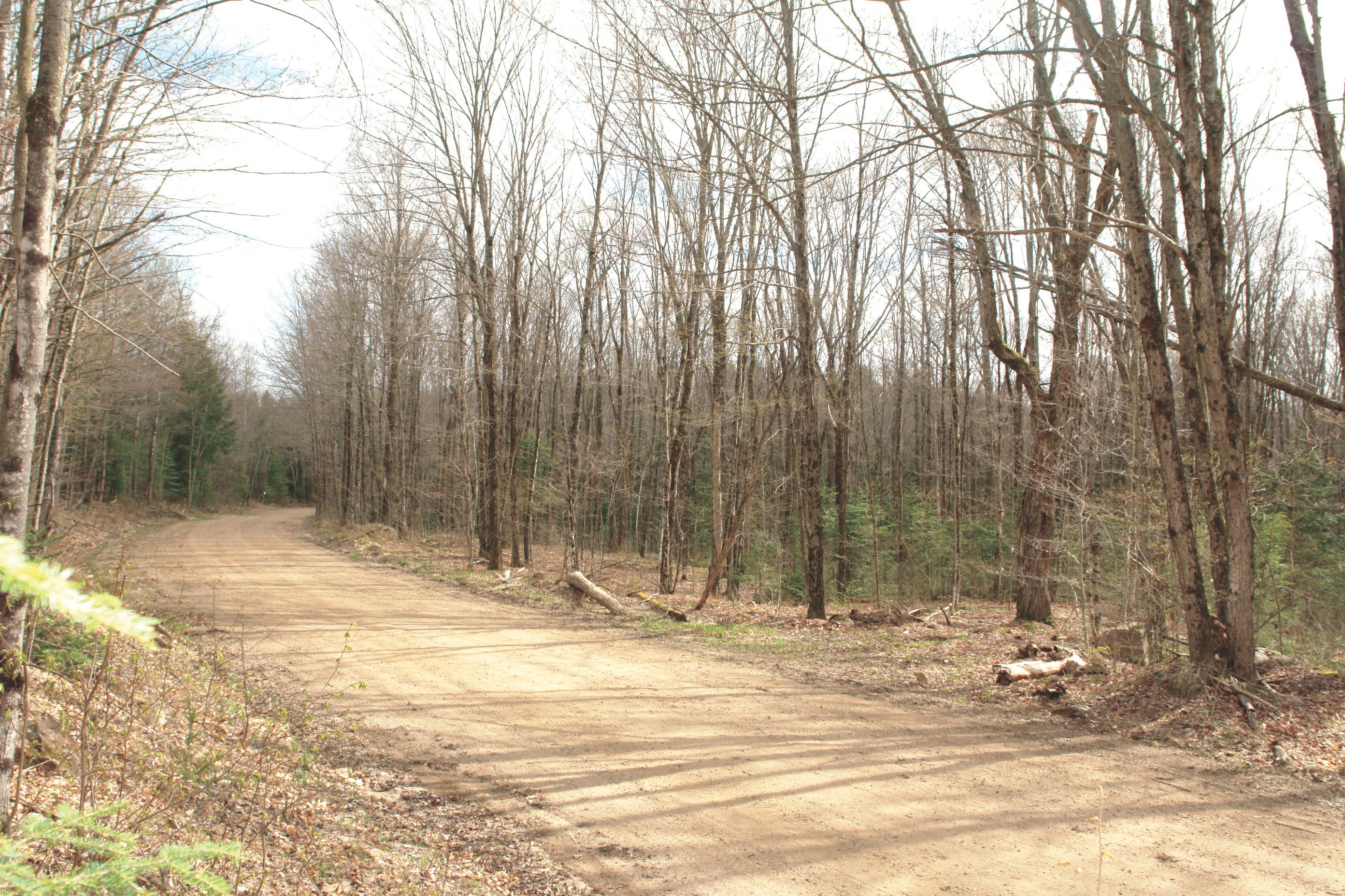 Gut Conservation Reserve Land for Sale Dignam Land Land for Sale in