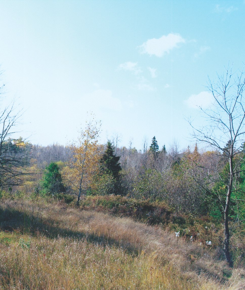 Lanark County Property Dignam Land