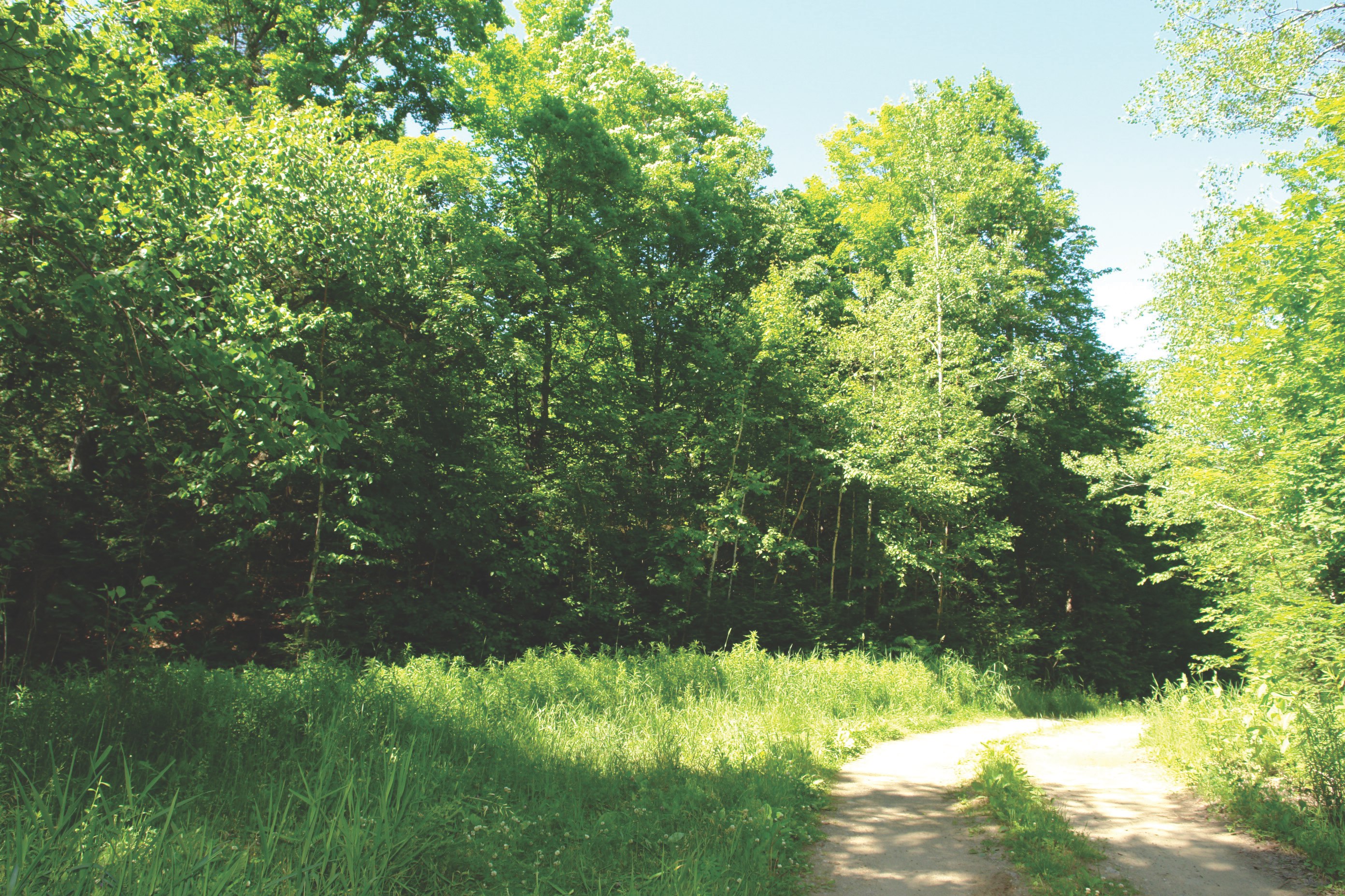 Land for sale Frontenac Ontario Dignam Land Land for Sale in Canada