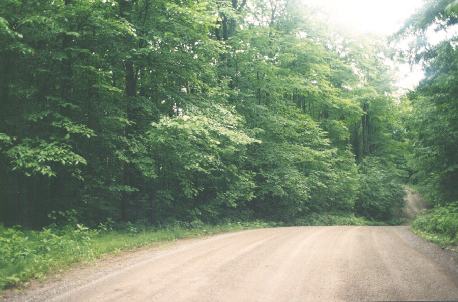 Hunting Land for Sale in Haliburton, Southern Ontario