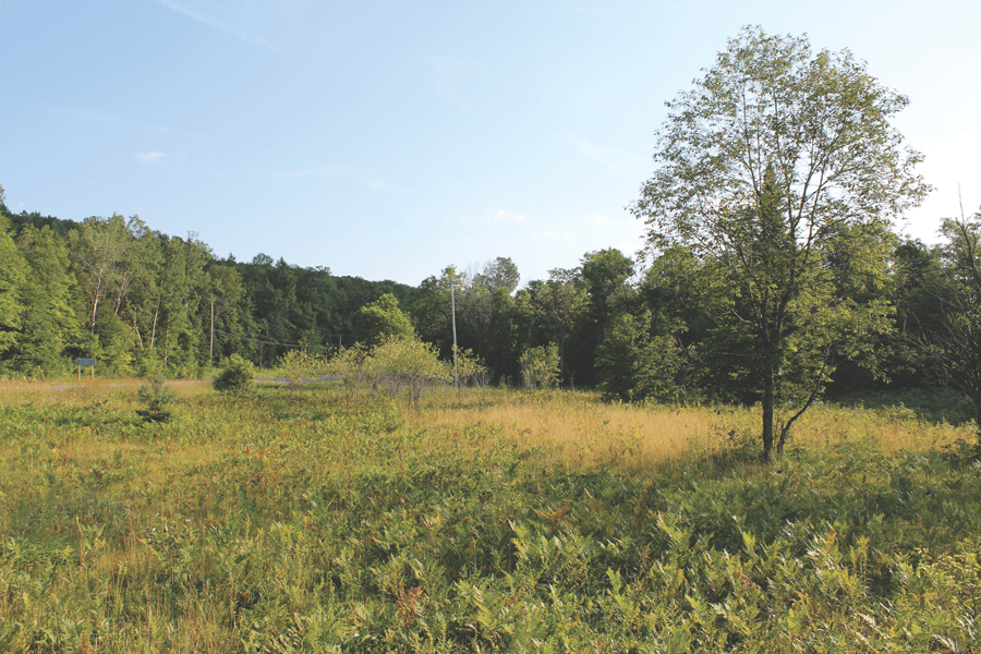 Vacant Lot for Sale in Haliburton Ontario