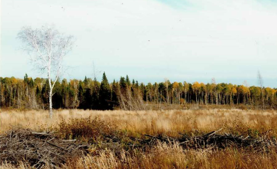 Recreational Land for Sale Cochrane, Northern Ontario