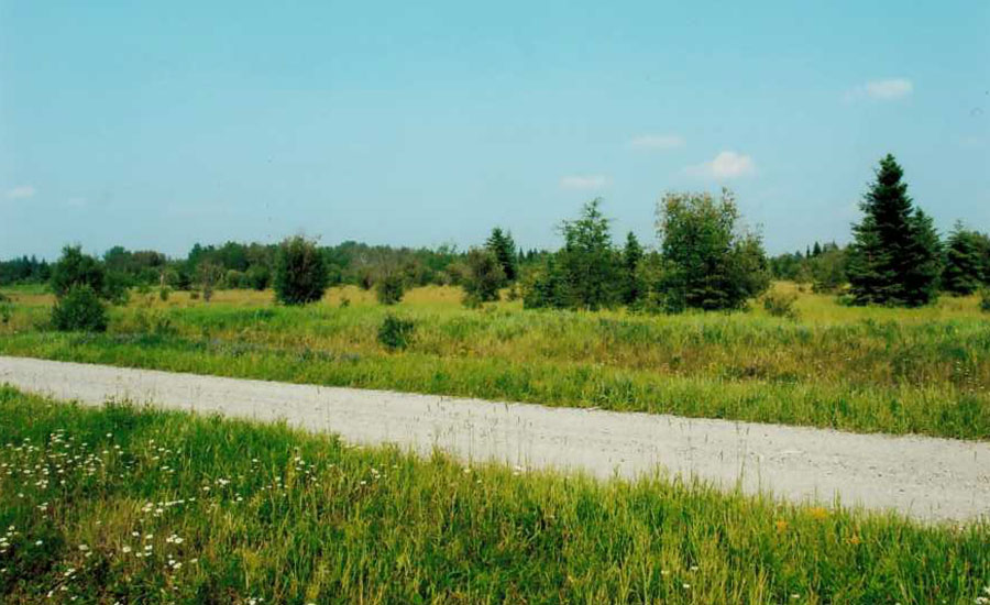 Recreational Land for Sale Cochrane, Northern Ontario