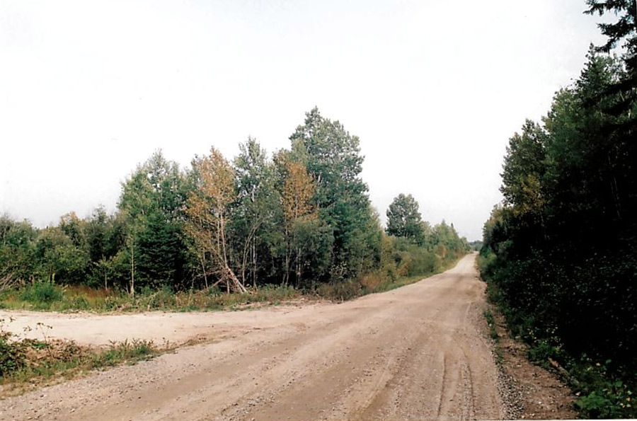 4995 Dignam Land Land for Sale in Canada